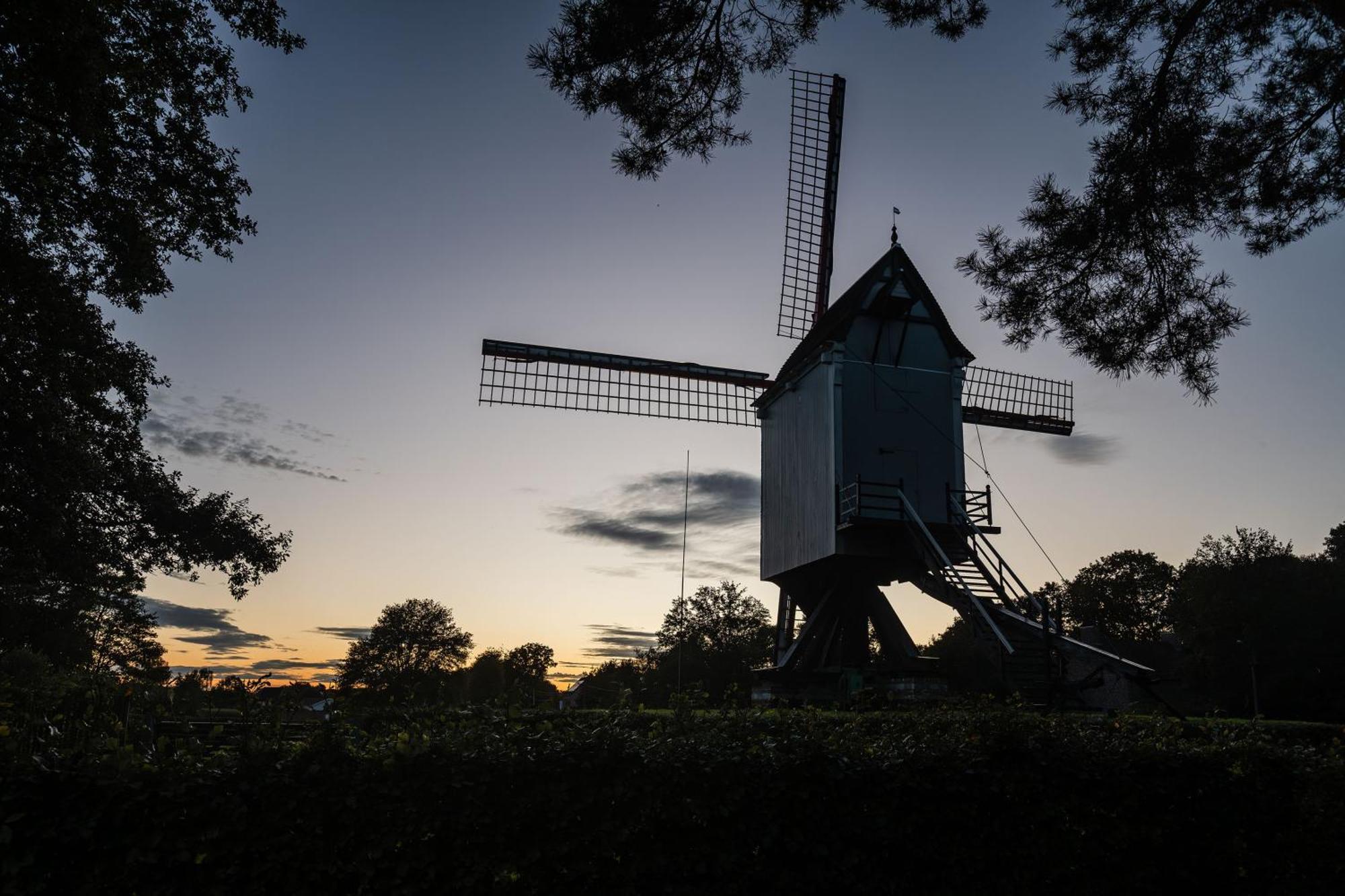Beddermolen - Molenhuis Op Historisch Erfgoeddomein Вестерло Экстерьер фото
